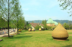 丹後王国「食のみやこ」 車で10分の写真02